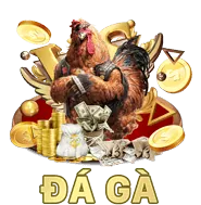 Đá gà trực tiếp