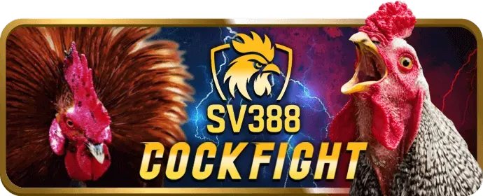 Đội ngũ hỗ trợ khách hàng chuyên nghiệp của abc88 code